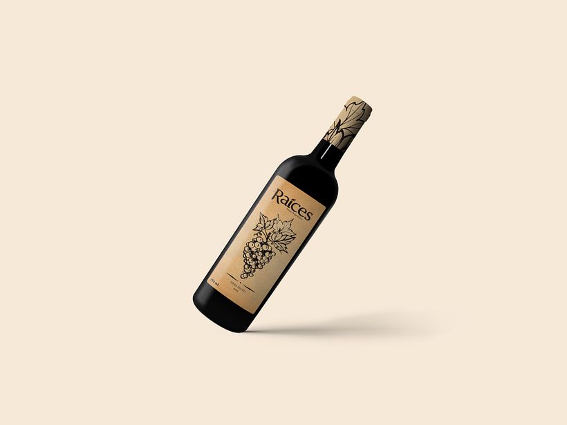 Creación de Marca y Packaging 1