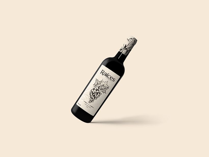 Creación de Marca y Packaging 2