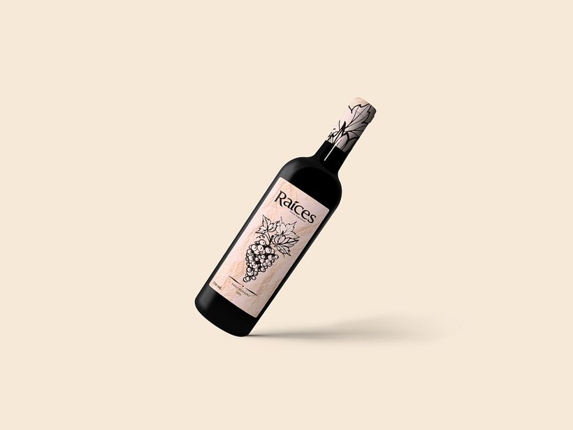 Creación de Marca y Packaging 3