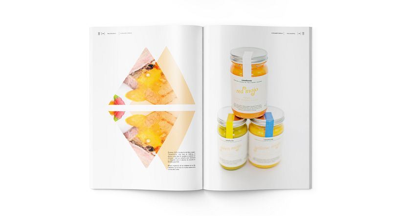 Magazine BADV studio | Éditorial 22