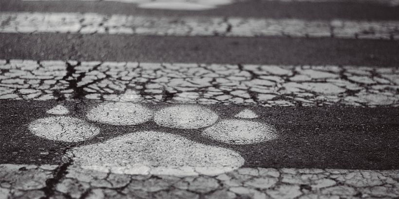 Crossing 1