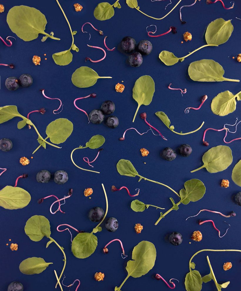 Eating Patterns: motivos foodies 12