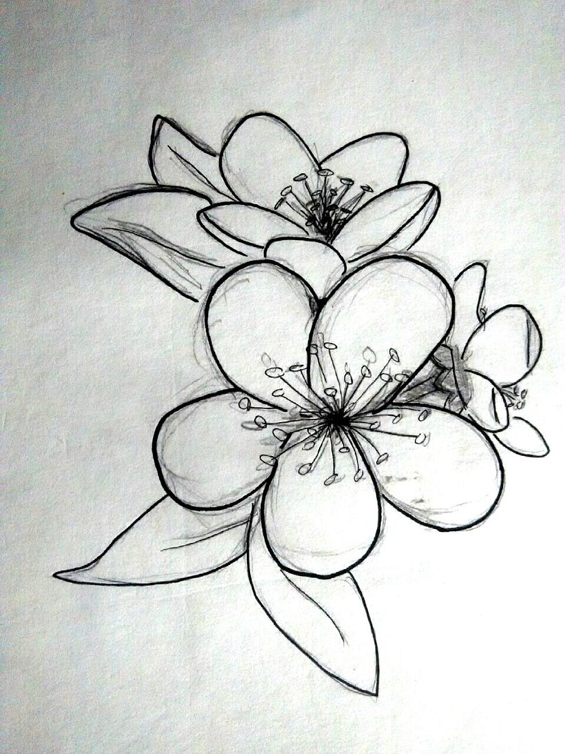 ilustración silueta -1