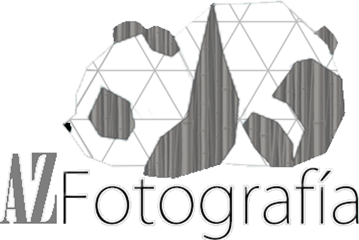 Logos -1