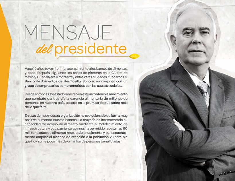 INFORME ANUAL BANCO DE ALIMENTOS DE MEXICO 2015 3