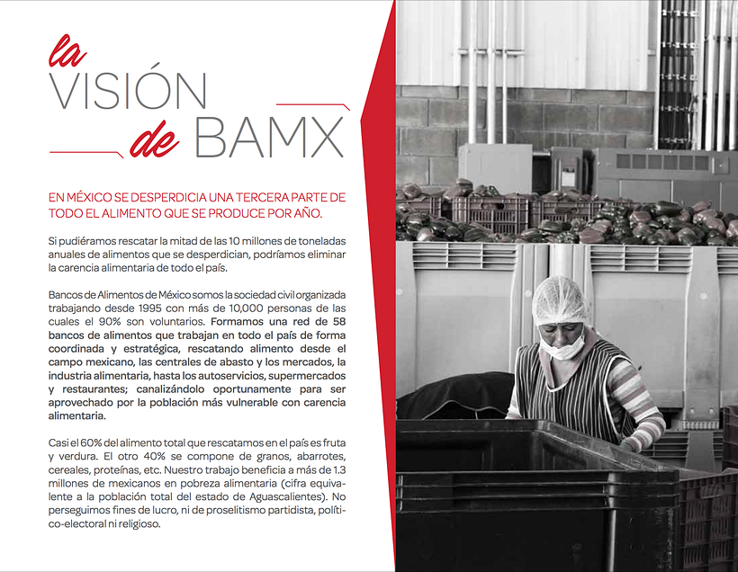INFORME ANUAL BANCO DE ALIMENTOS DE MEXICO 2015 5