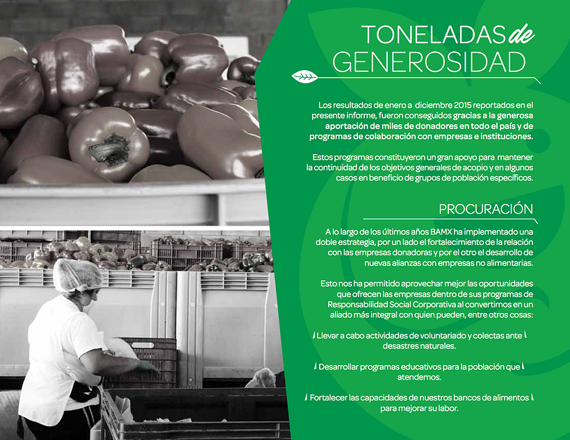 INFORME ANUAL BANCO DE ALIMENTOS DE MEXICO 2015 11