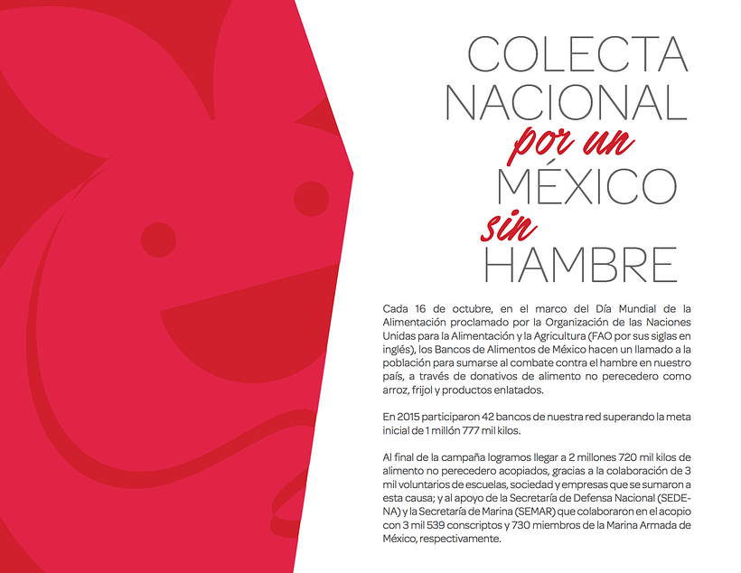 INFORME ANUAL BANCO DE ALIMENTOS DE MEXICO 2015 12