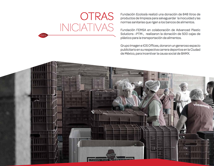 INFORME ANUAL BANCO DE ALIMENTOS DE MEXICO 2015 14