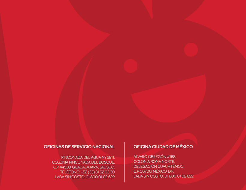 INFORME ANUAL BANCO DE ALIMENTOS DE MEXICO 2015 17
