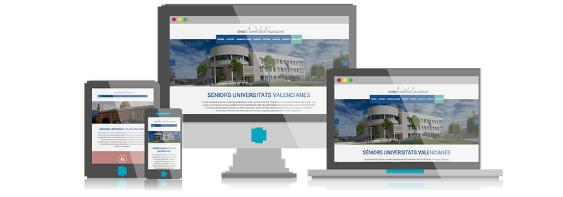 Desarrollo y Diseño Web Senior Universitats Valencianes 0