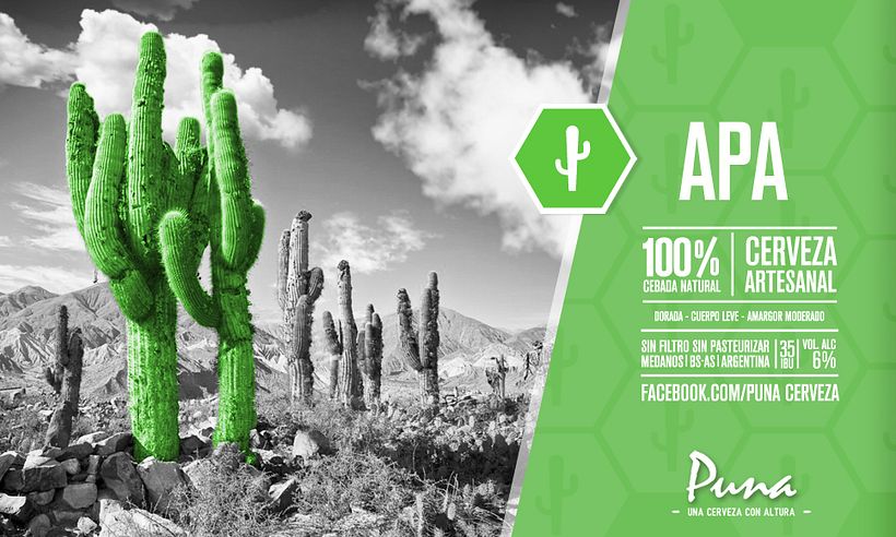 PUNA - Una cerveza con altura - 3