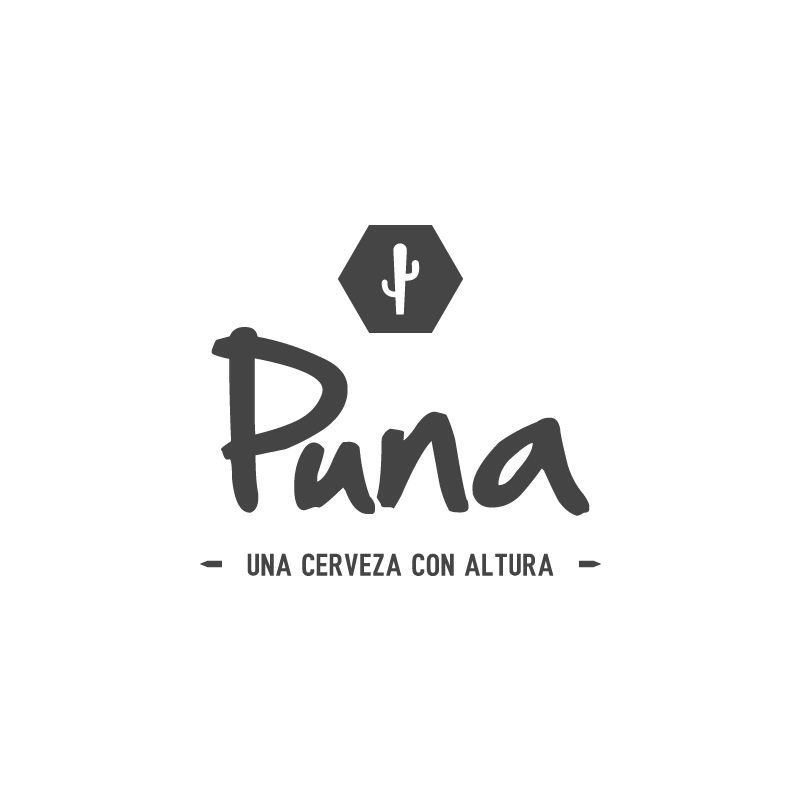 PUNA - Una cerveza con altura - 0