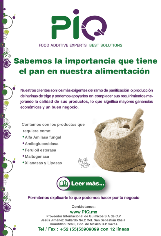 PIQ 1
