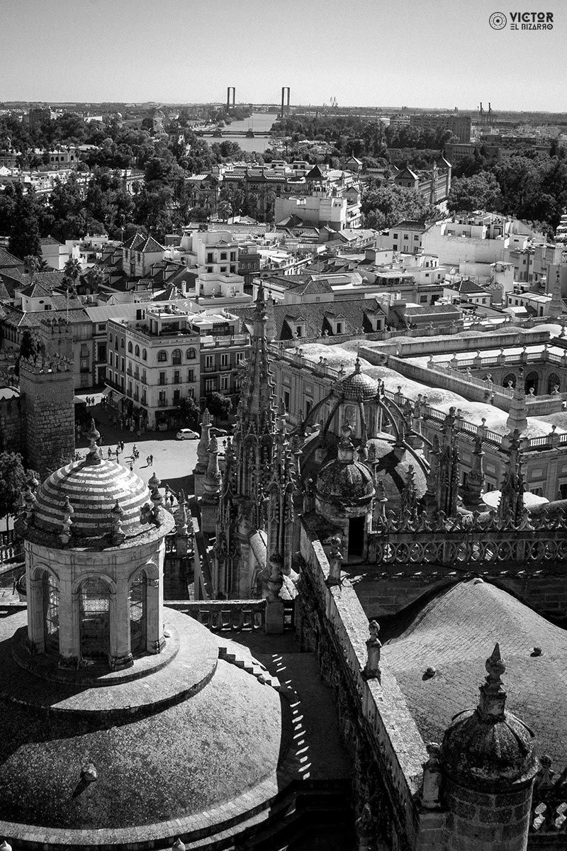 Fotografías de Córdoba y Sevilla (España) 11
