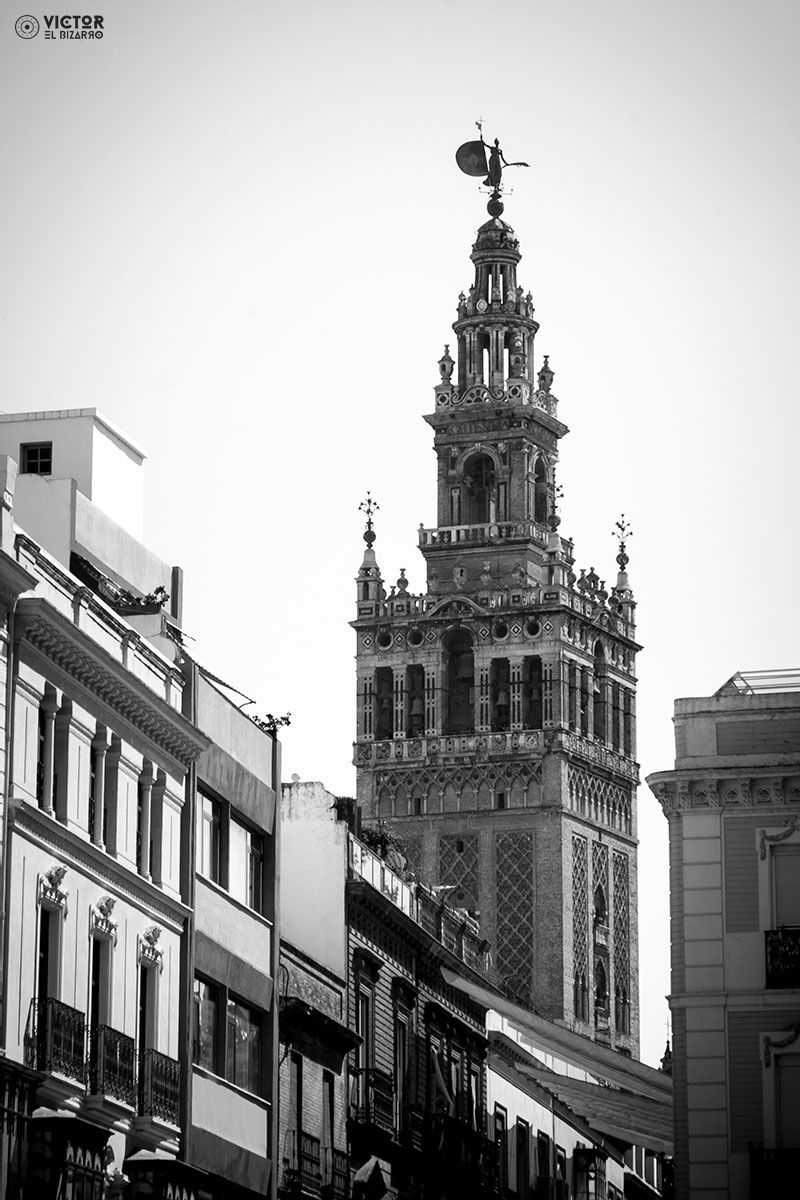Fotografías de Córdoba y Sevilla (España) 10