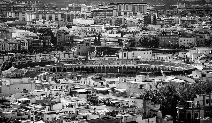 Fotografías de Córdoba y Sevilla (España) 15