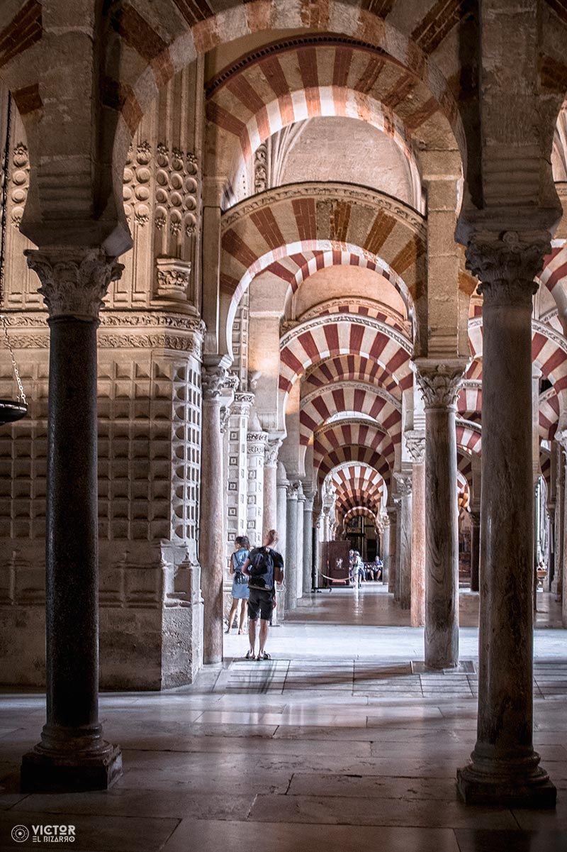 Fotografías de Córdoba y Sevilla (España) 4