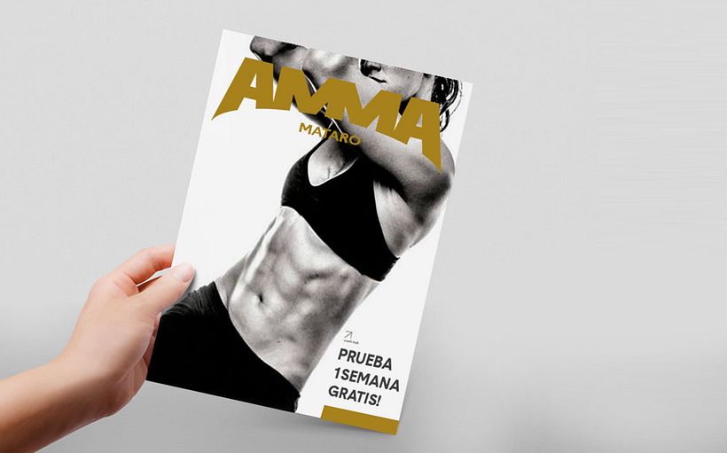 AMMA 3