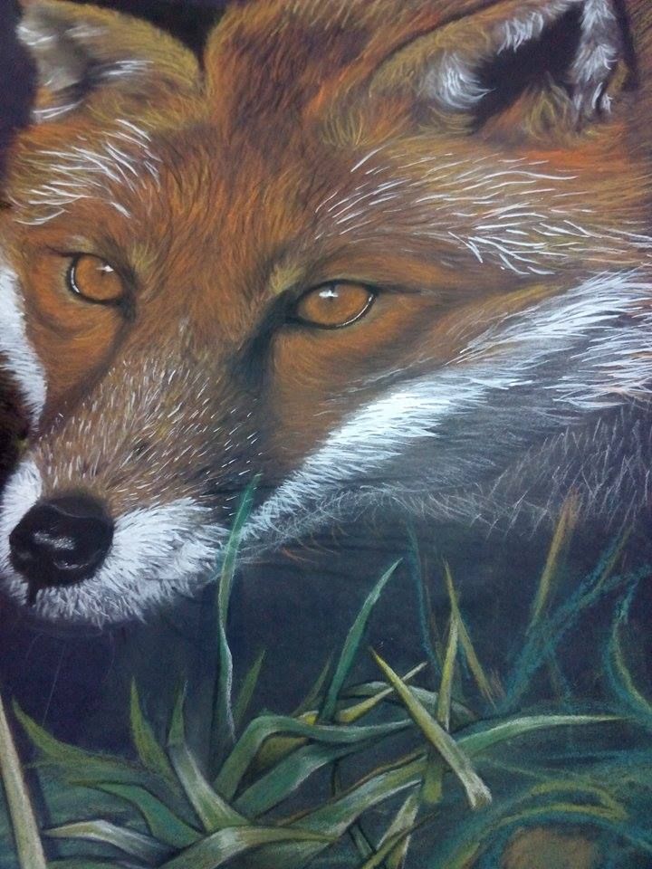 - Wild - 3