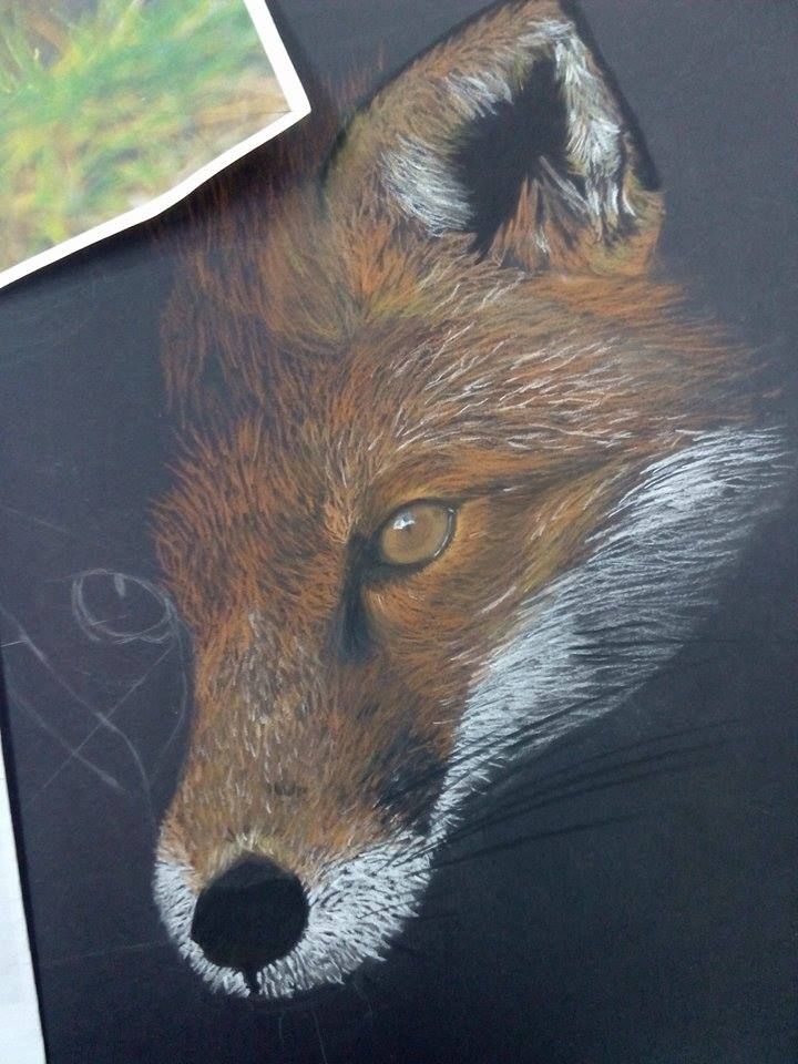 - Wild - 2