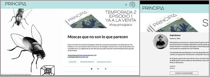 Colaboraciones/ publicaciones 5