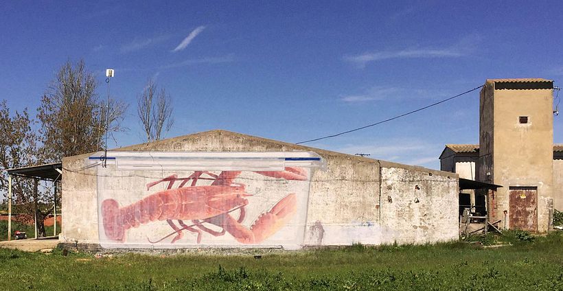 Ampparito: arte urbano rural 4