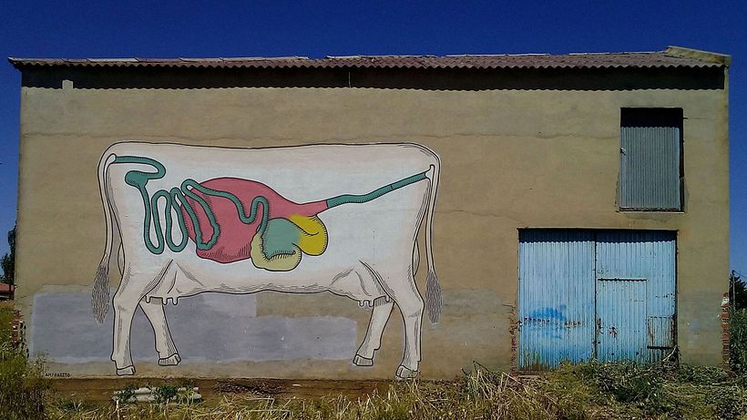 Ampparito: arte urbano rural 5