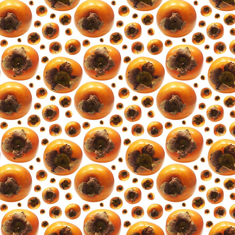 Pattern Caquis 0