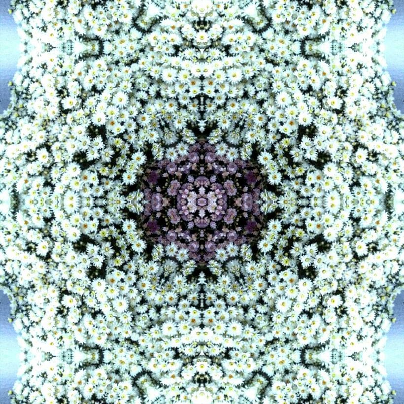 Kaleidoflowers -1