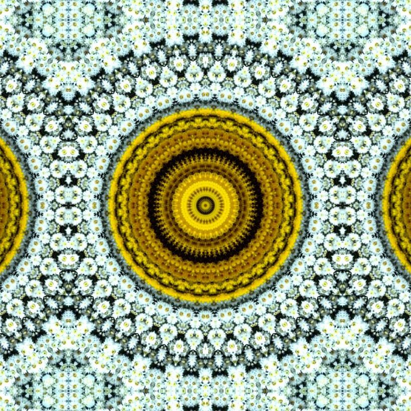 Kaleidoflowers 2