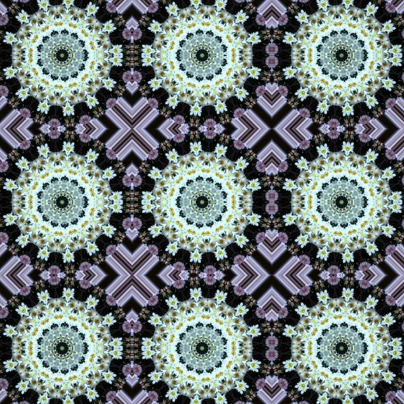 Kaleidoflowers 3