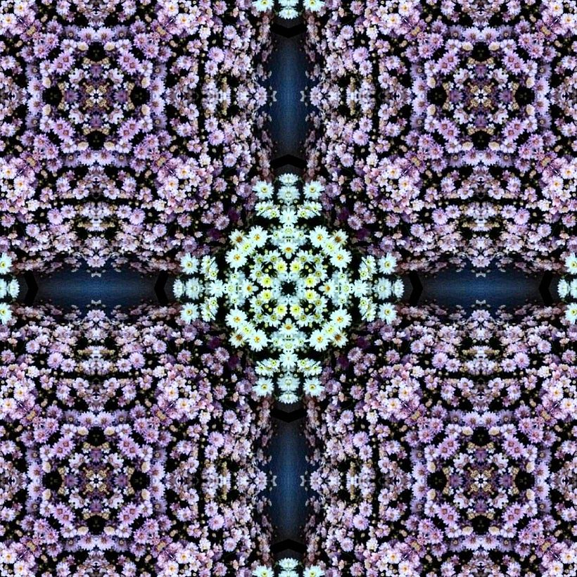 Kaleidoflowers 4