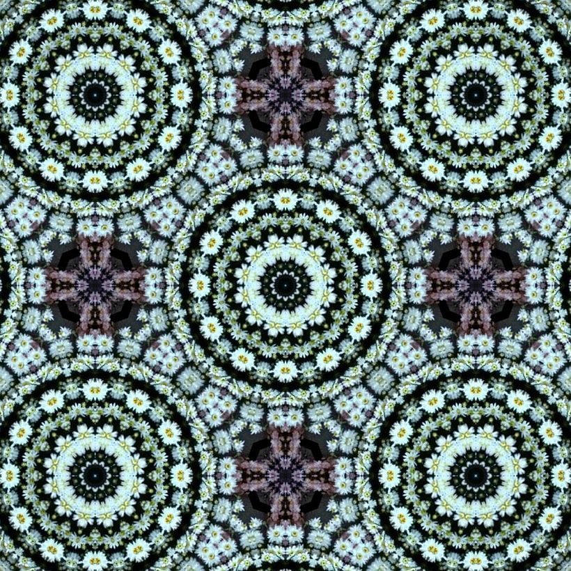 Kaleidoflowers 5