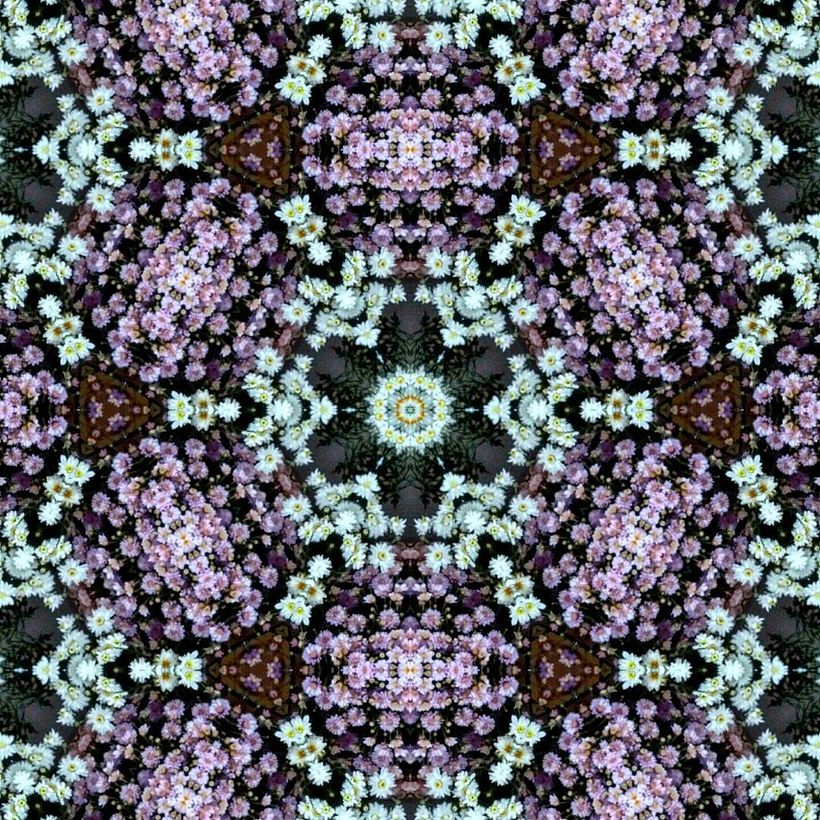 Kaleidoflowers 6