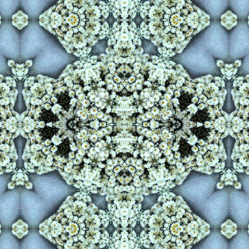 Kaleidoflowers 8