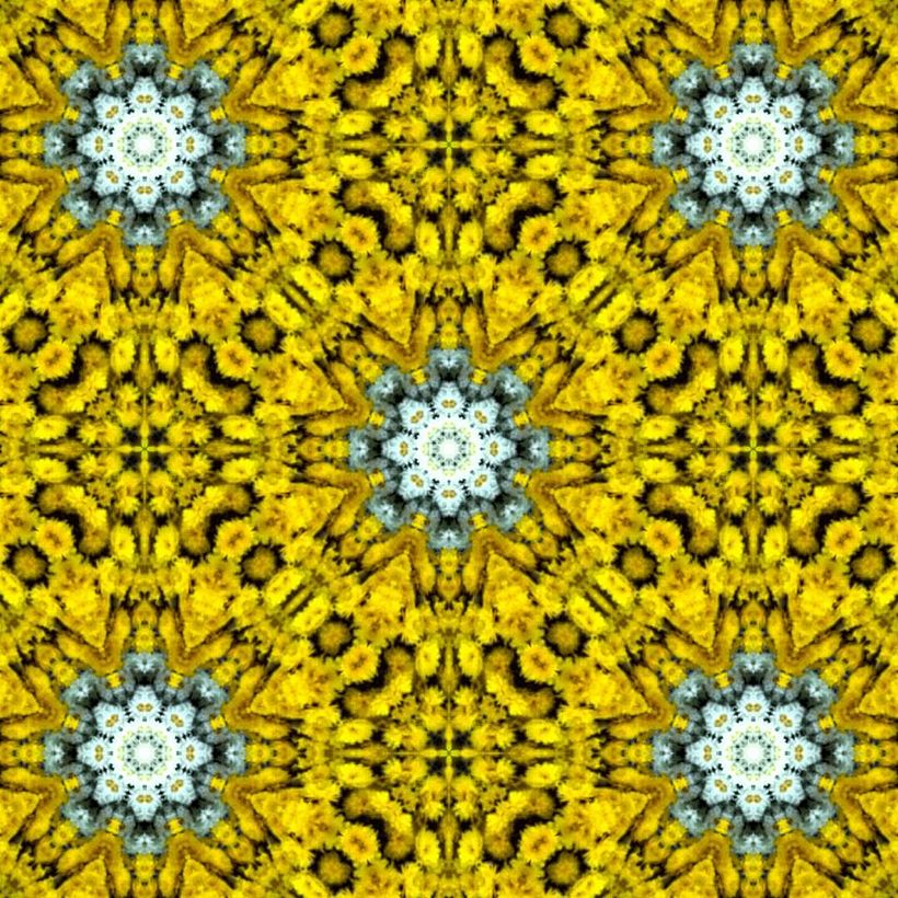 Kaleidoflowers 11