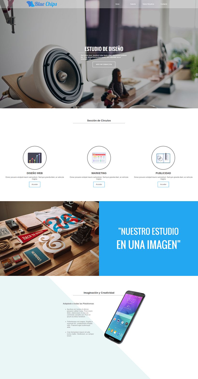 Blue Chips - Desarrollo Web con HTML5 y CSS3 0