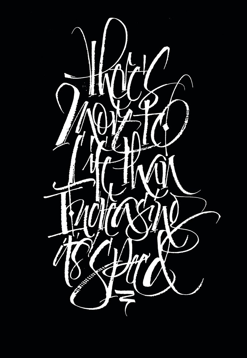 Mister Kams: la palabra como ilustración 4