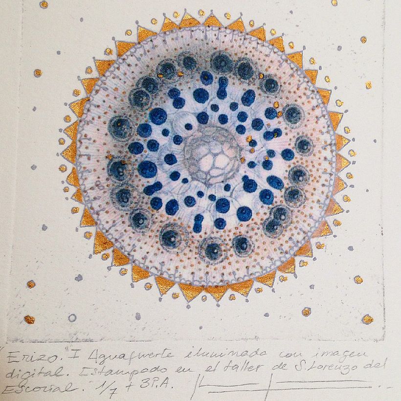 Creación de esculturas, grabados y libro de artista 3