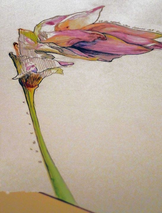 Creación de esculturas, grabados y libro de artista 11