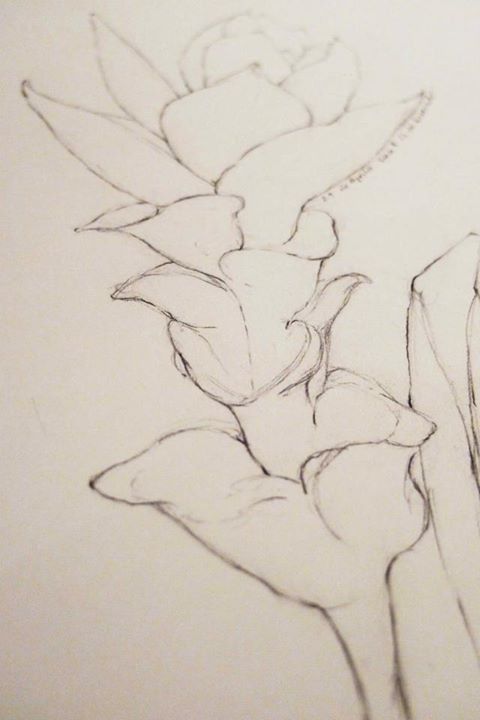 Creación de esculturas, grabados y libro de artista 12