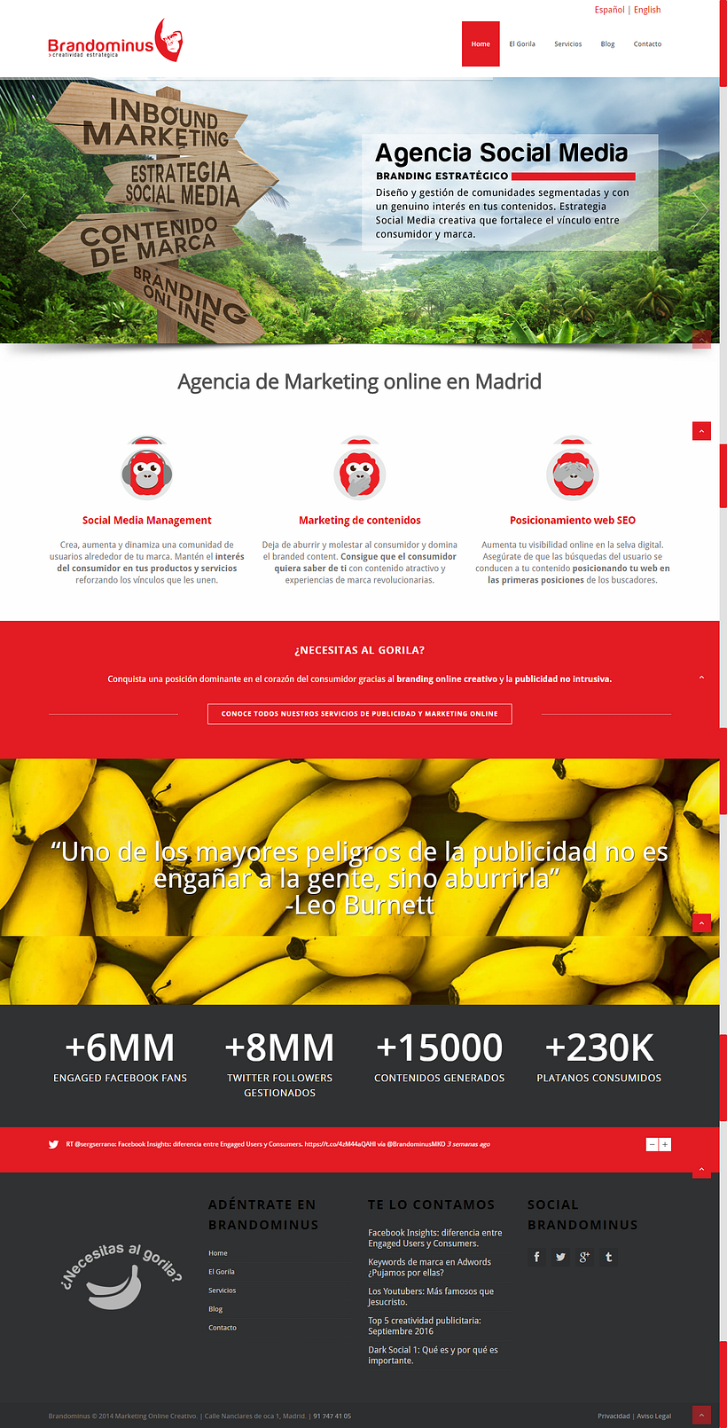 Desarrollo Wordpress - Web Geliştirme