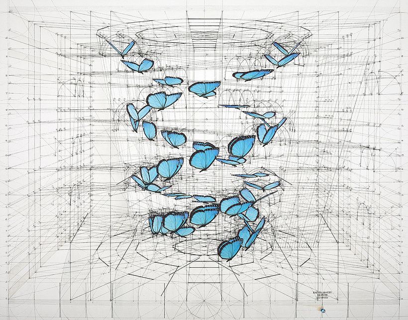 Rafael Araujo, ilustraciones matemáticamente perfectas 4