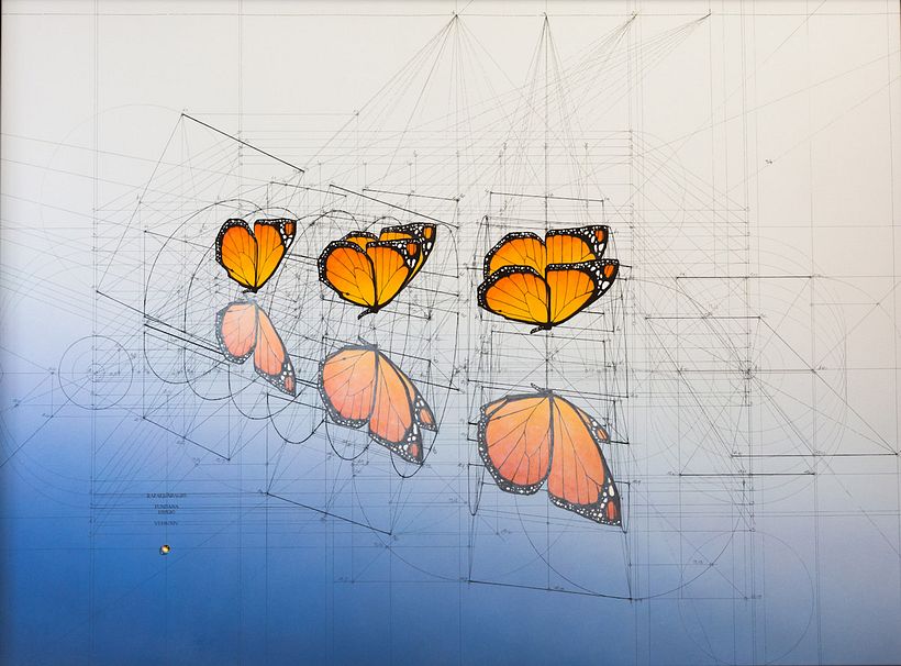 Rafael Araujo, ilustraciones matemáticamente perfectas 6