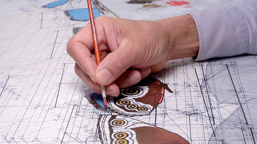 Rafael Araujo, ilustraciones matemáticamente perfectas 3
