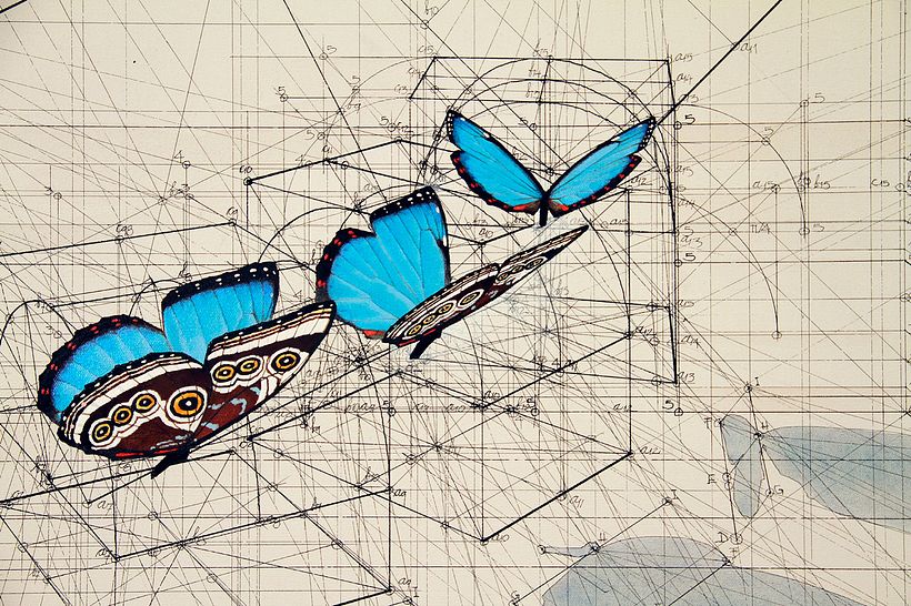 Rafael Araujo, ilustraciones matemáticamente perfectas 8