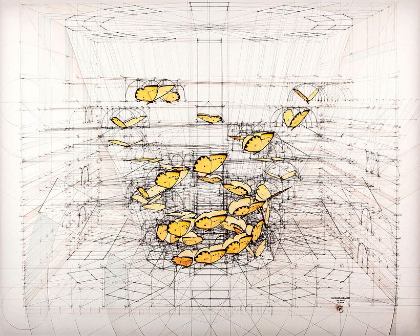Rafael Araujo, ilustraciones matemáticamente perfectas 1