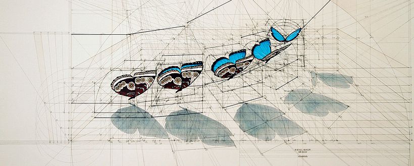 Rafael Araujo, ilustraciones matemáticamente perfectas 10