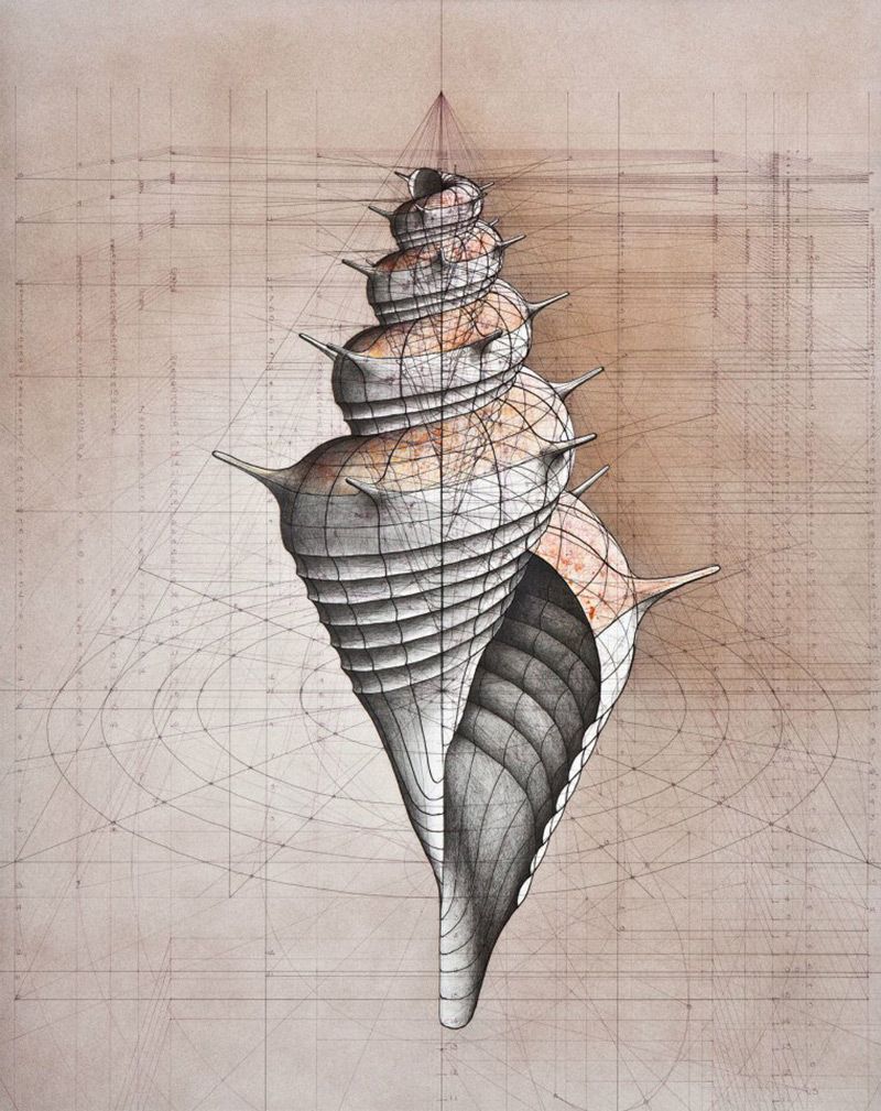 Rafael Araujo, ilustraciones matemáticamente perfectas 9